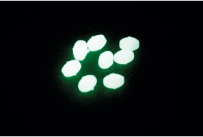 Hard beads VERCELLI OVAL LUM 2