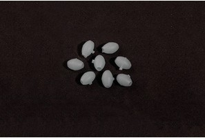 Soft beads VERCELLI OVAL LUM BVPS1 2