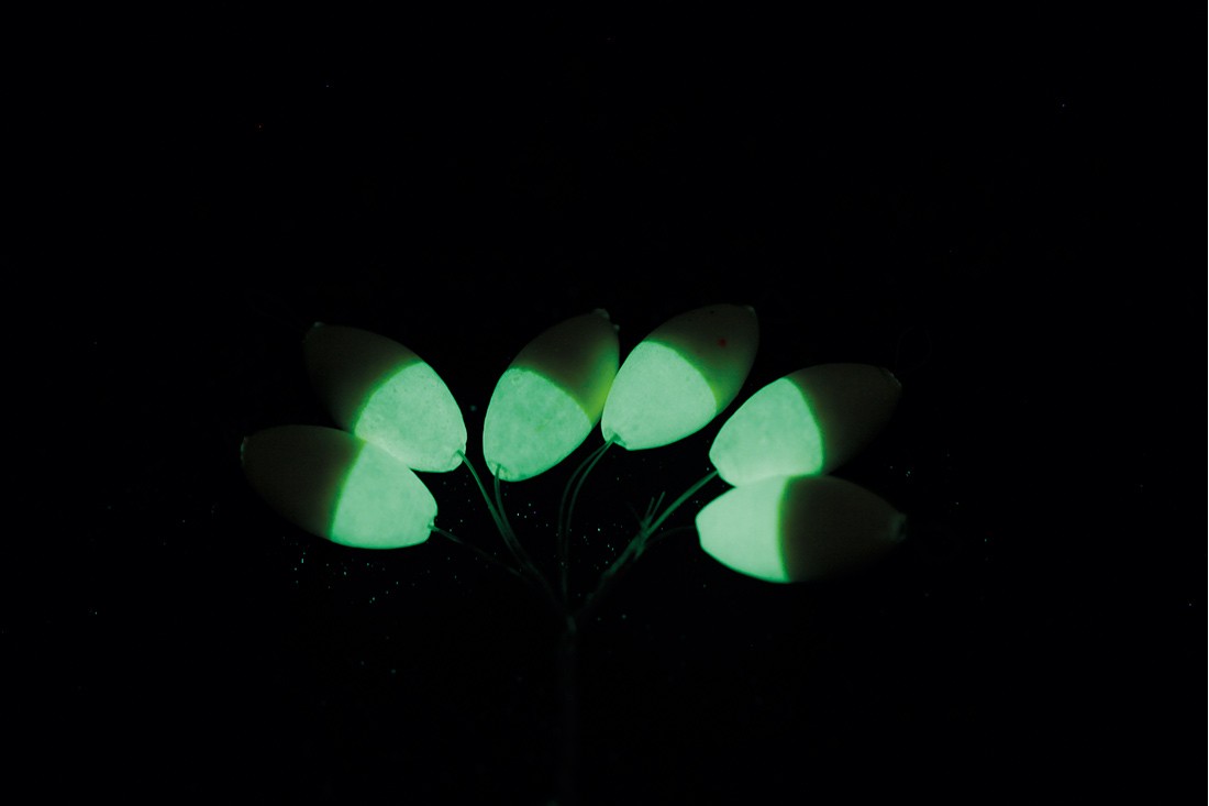 Hard stoppers VERCELLI OVAL LUM BVS01