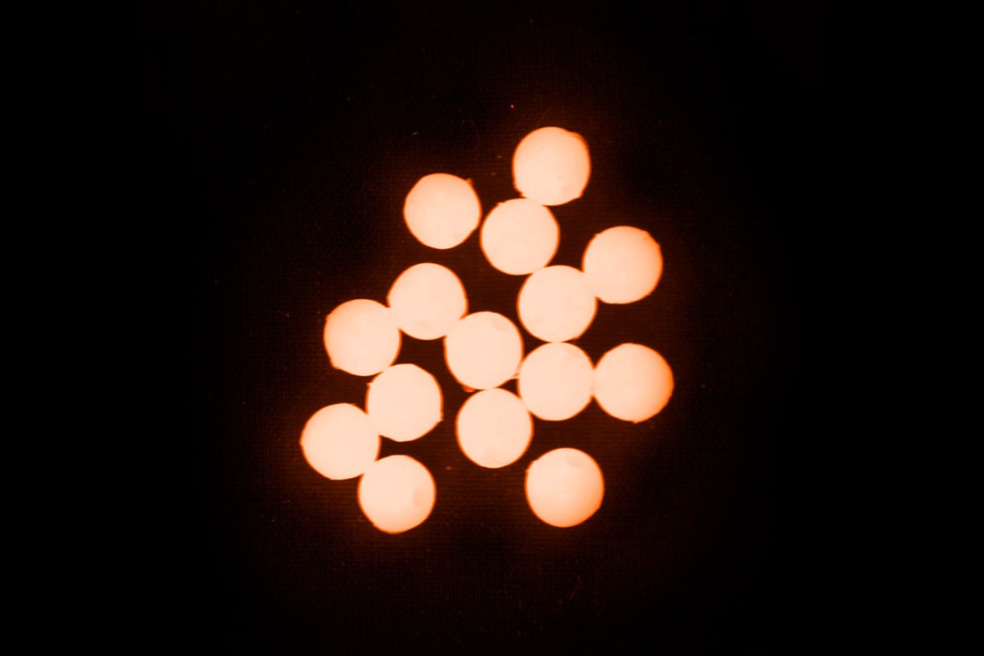 Hard beads VERCELLI ROUND LUM Pink