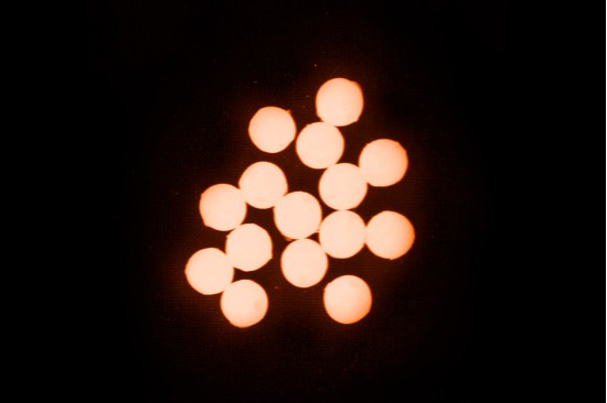 Perlitas duras VERCELLI ROUND LUM Pink